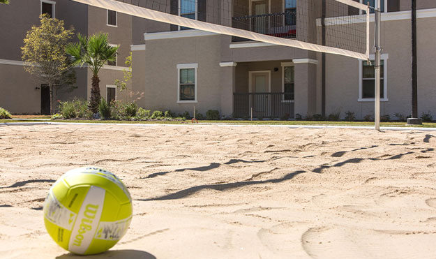 Volleyball Court