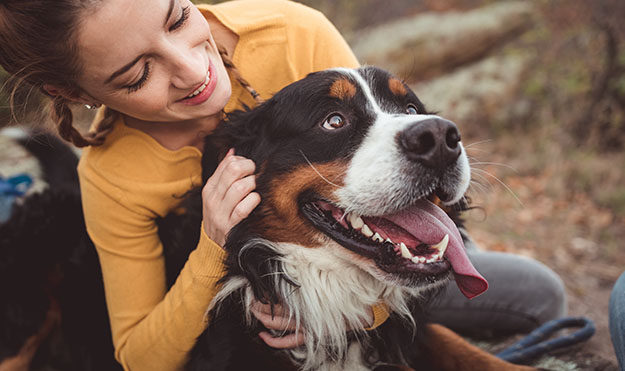Pet-Friendly With Dog Park