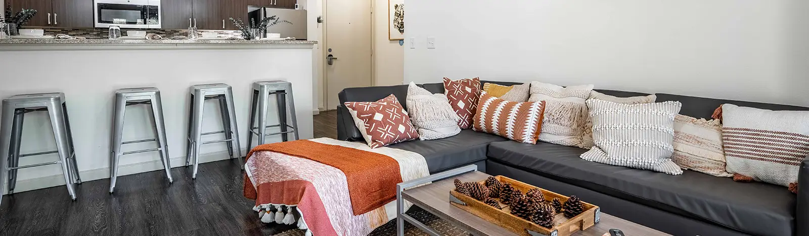 furnished living space